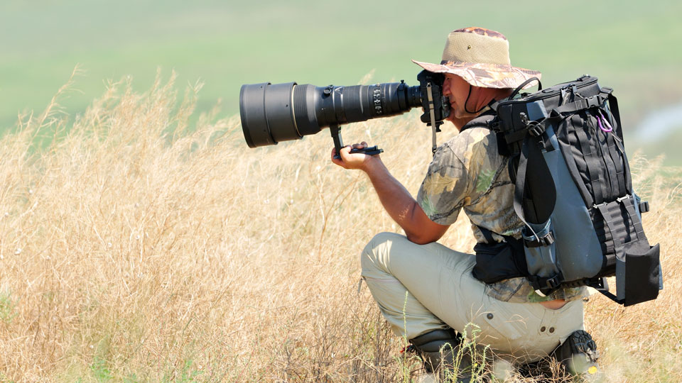 Best Camera For Wildlife Photography