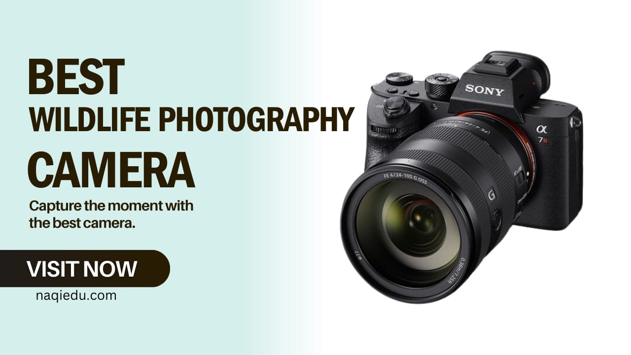 Best Camera For Wildlife Photography